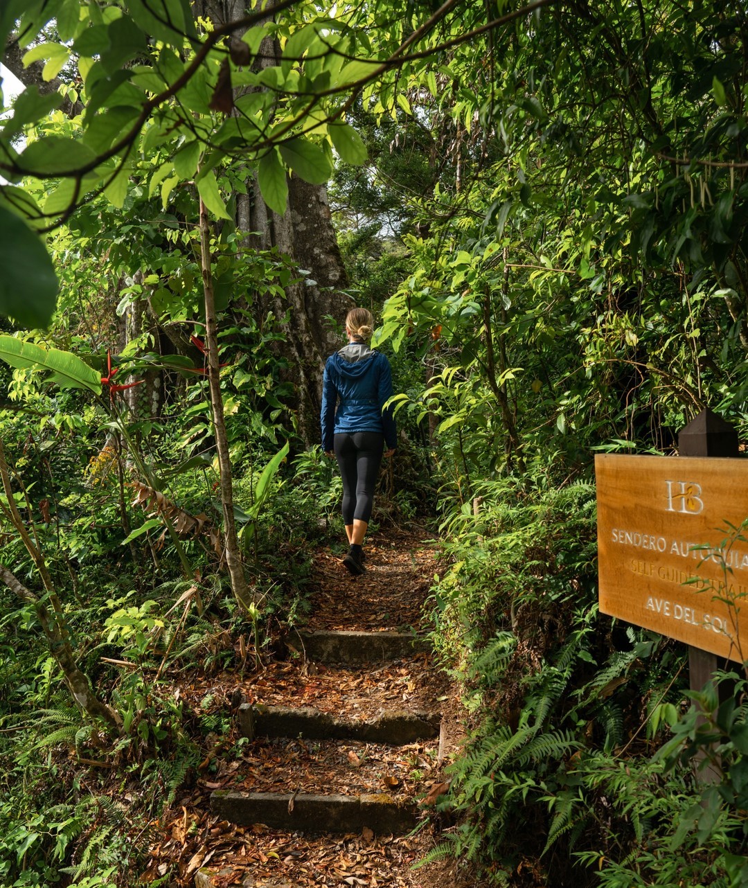 Hotel Belmar - Monterverde - Image 8