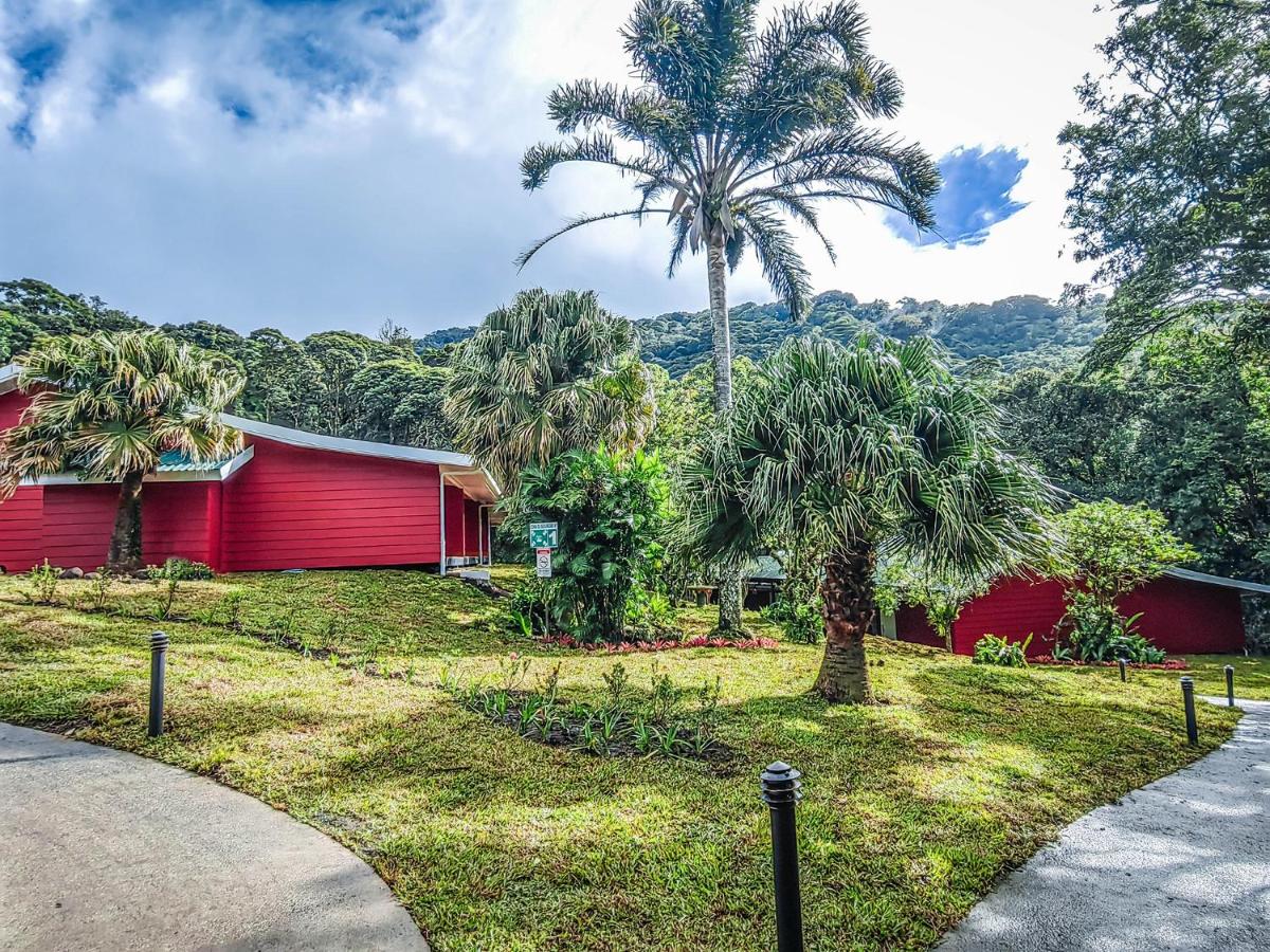 Cloud Forest Lodge - Monteverde - Image 3