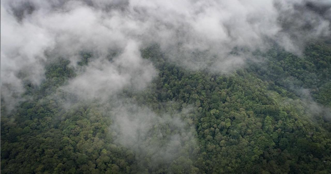 Cloud Forest Lodge - Monteverde - Image 14