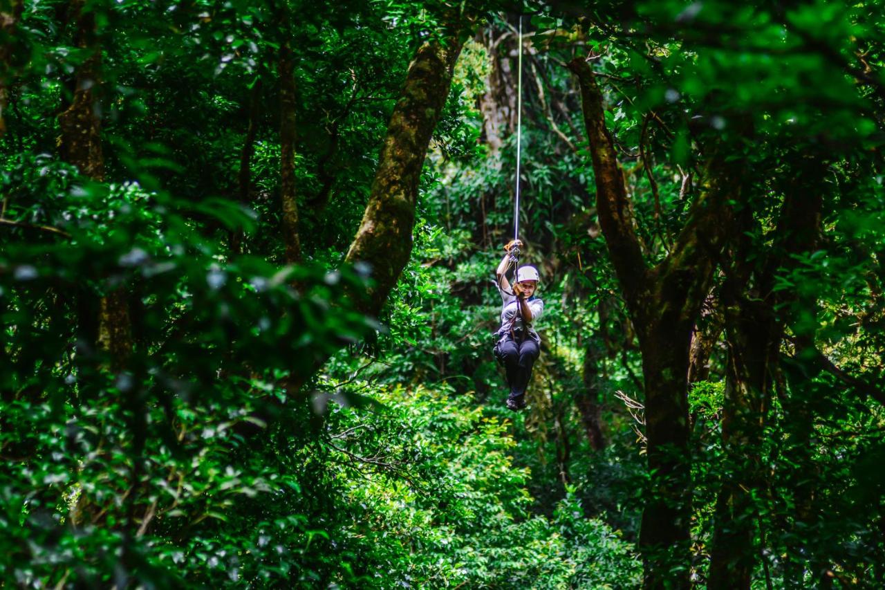 Cloud Forest Lodge - Monteverde - Image 6