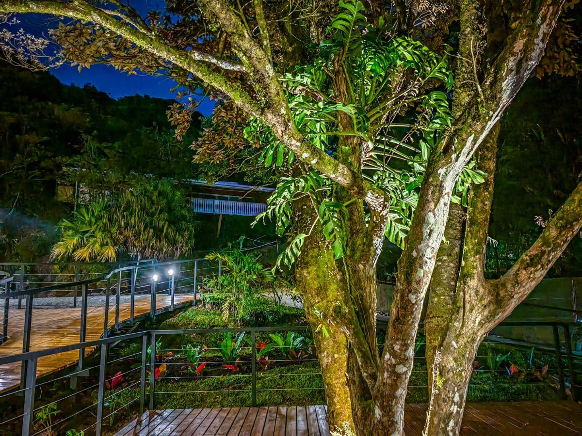 Cloud Forest Lodge - Monteverde - Image 4