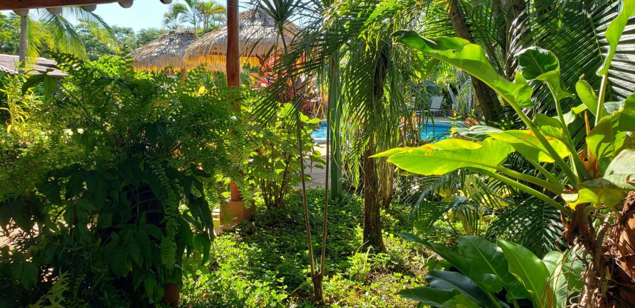 Guacamaya Lodge - Paraíso - Image 24
