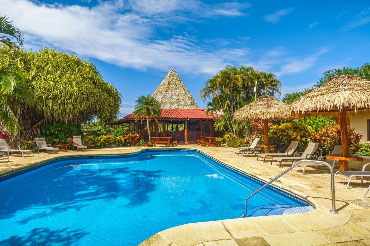 Guacamaya Lodge - Paraíso - Image 4