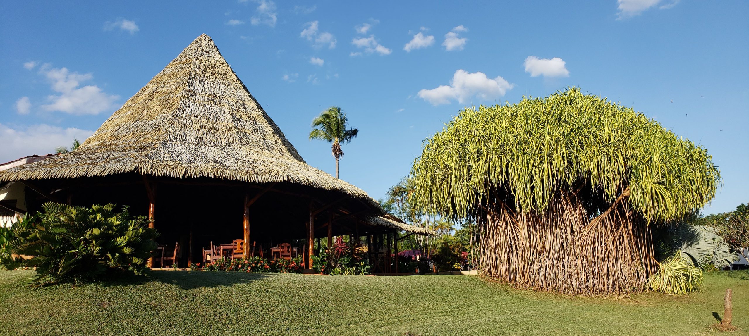 Guacamaya Lodge - Paraíso - Image 17