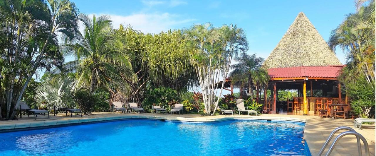Guacamaya Lodge - Paraíso - Image 8
