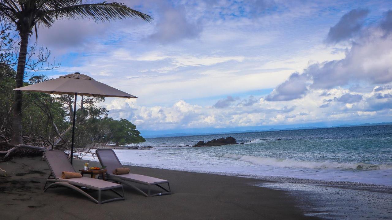 Lapa Rios Lodge - Puerto Jiménez - Image 15