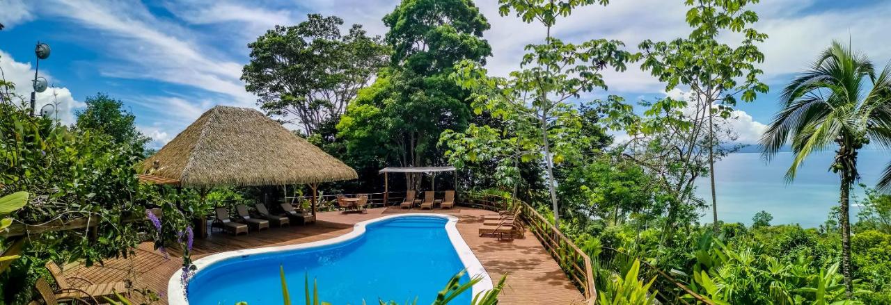 Lapa Rios Lodge - Puerto Jiménez - Image 4