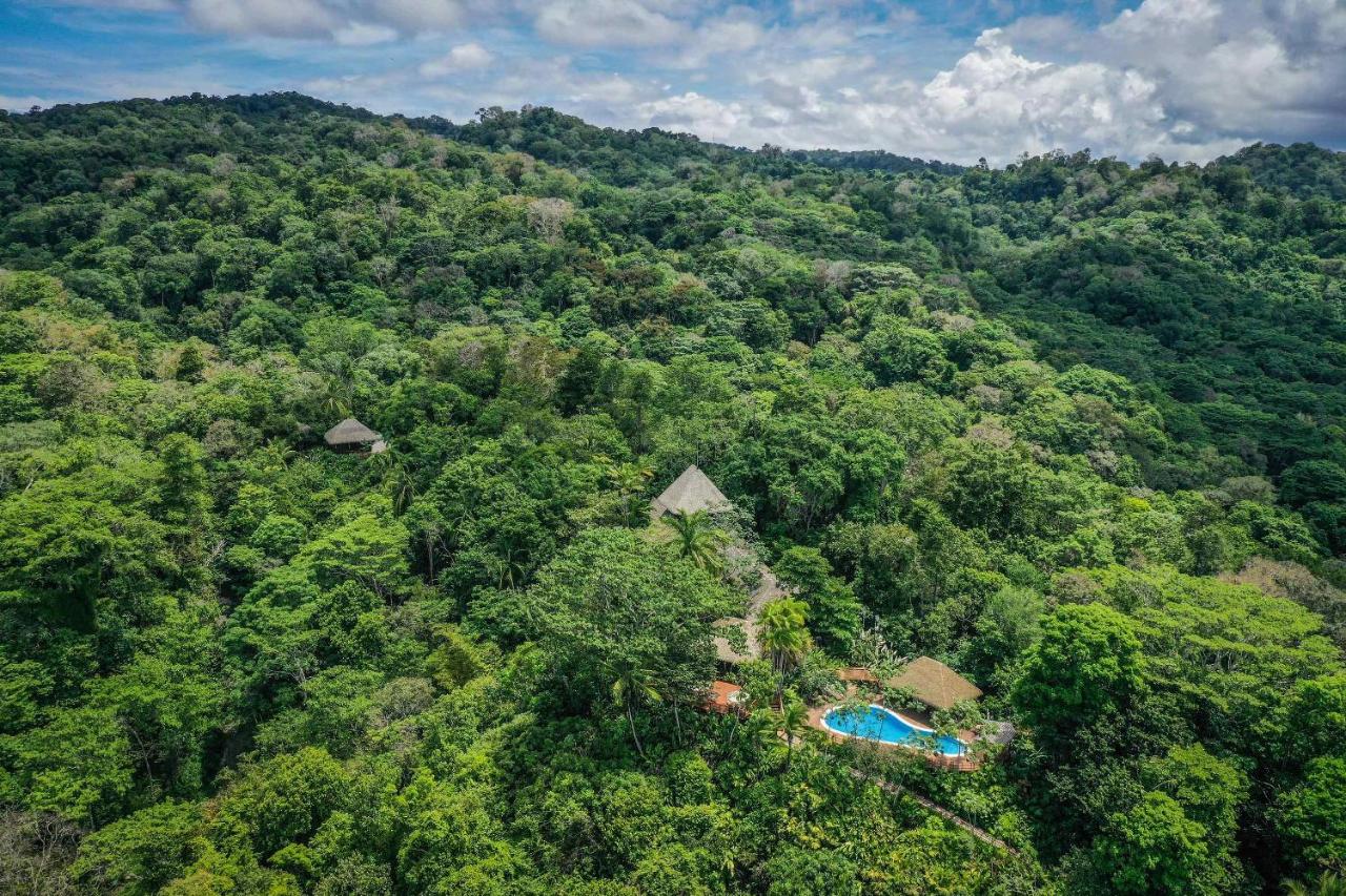 Lapa Rios Lodge - Puerto Jiménez - Image 18