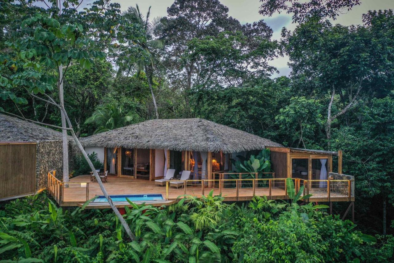 Lapa Rios Lodge - Puerto Jiménez - Image 17