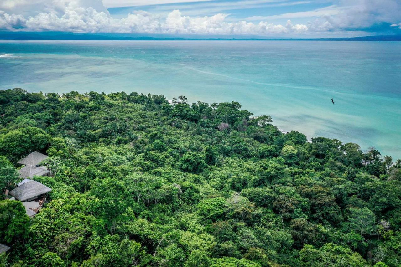 Lapa Rios Lodge - Puerto Jiménez - Image 14