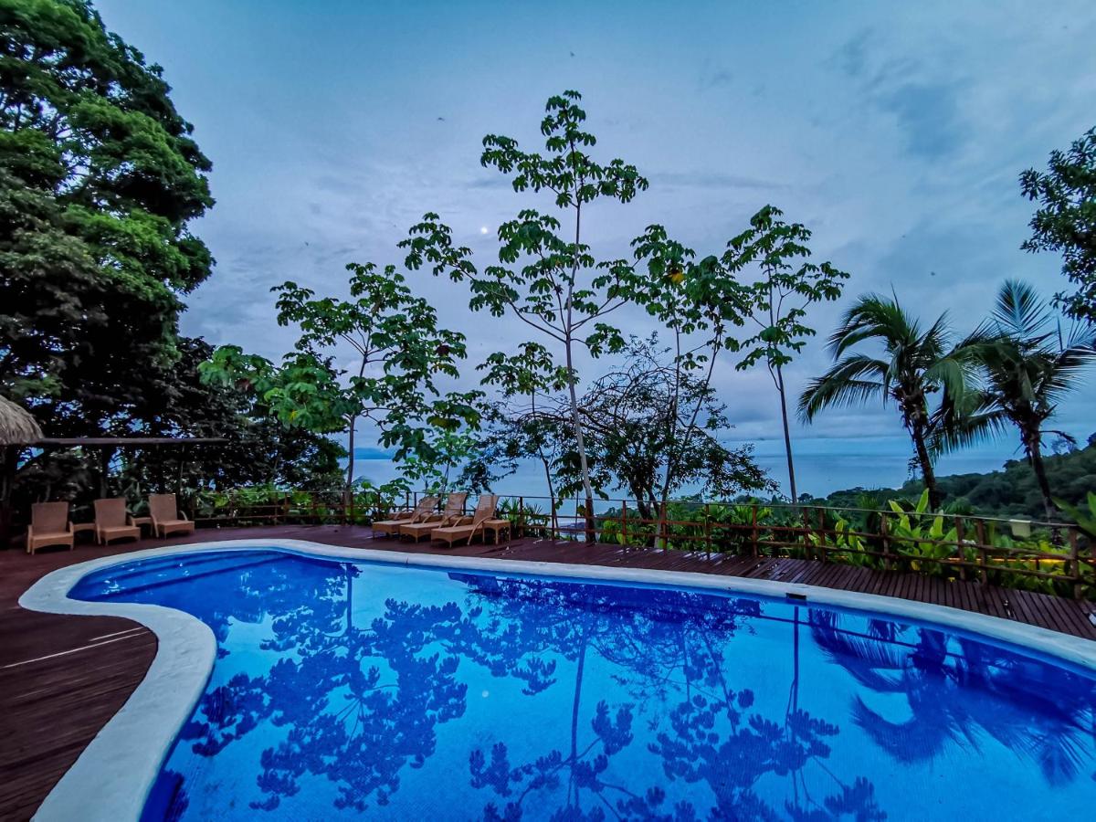 Lapa Rios Lodge - Puerto Jiménez - Image 12