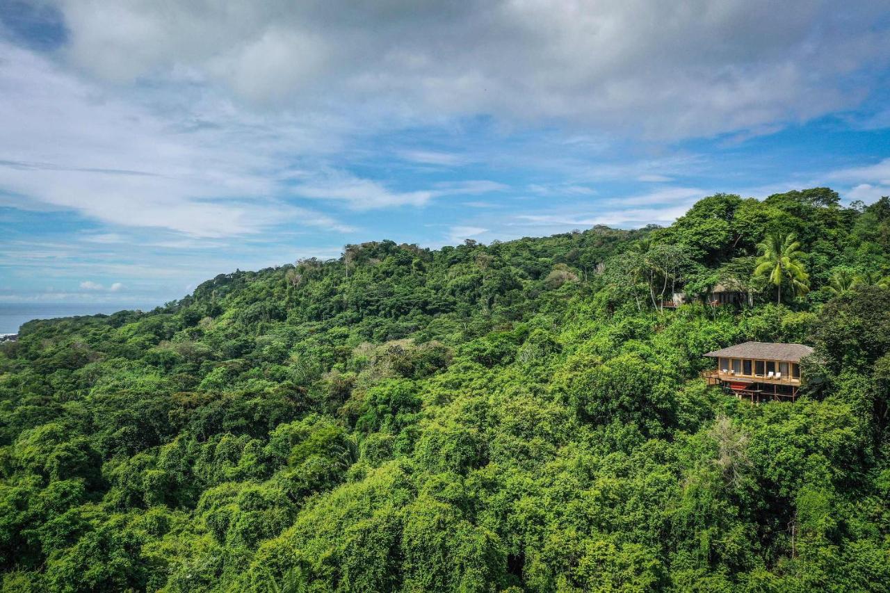 Lapa Rios Lodge - Puerto Jiménez - Image 5