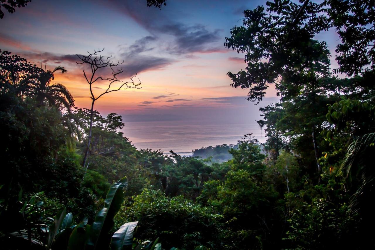 Lapa Rios Lodge - Puerto Jiménez - Image 23