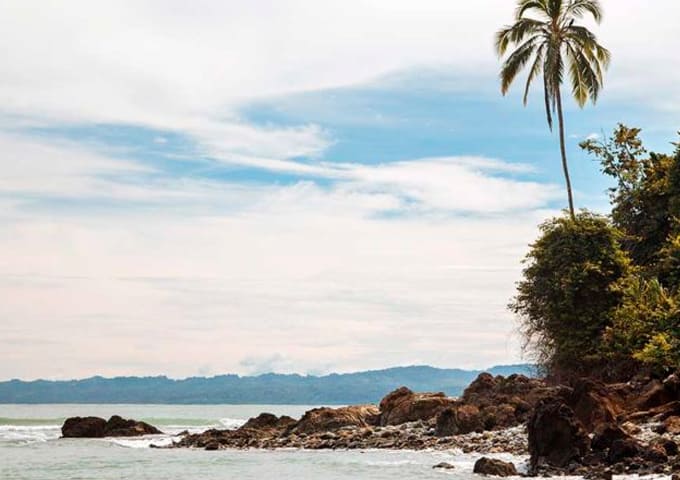 Lapa Rios Lodge - Puerto Jiménez - Image 2