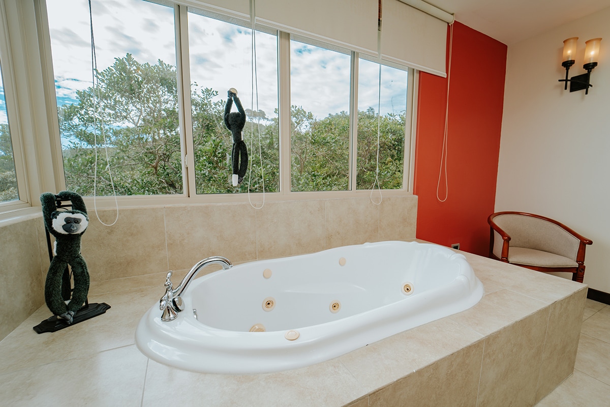 Parador Nature Resort and Spa - Manuel Antonio - Image 17