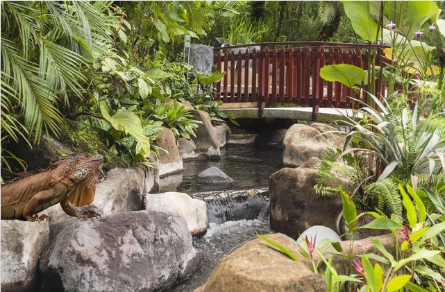 The Royal Corin Resort - La Fortuna - Image 20