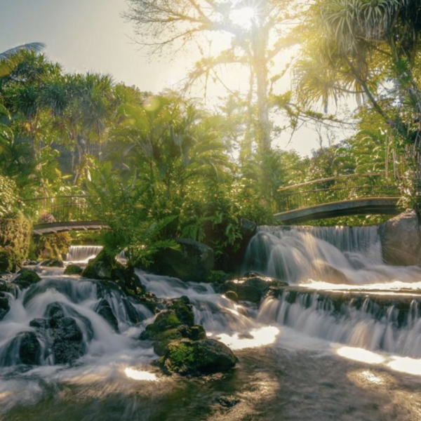 Tabacon Termal Resort And Spa - La Fortuna