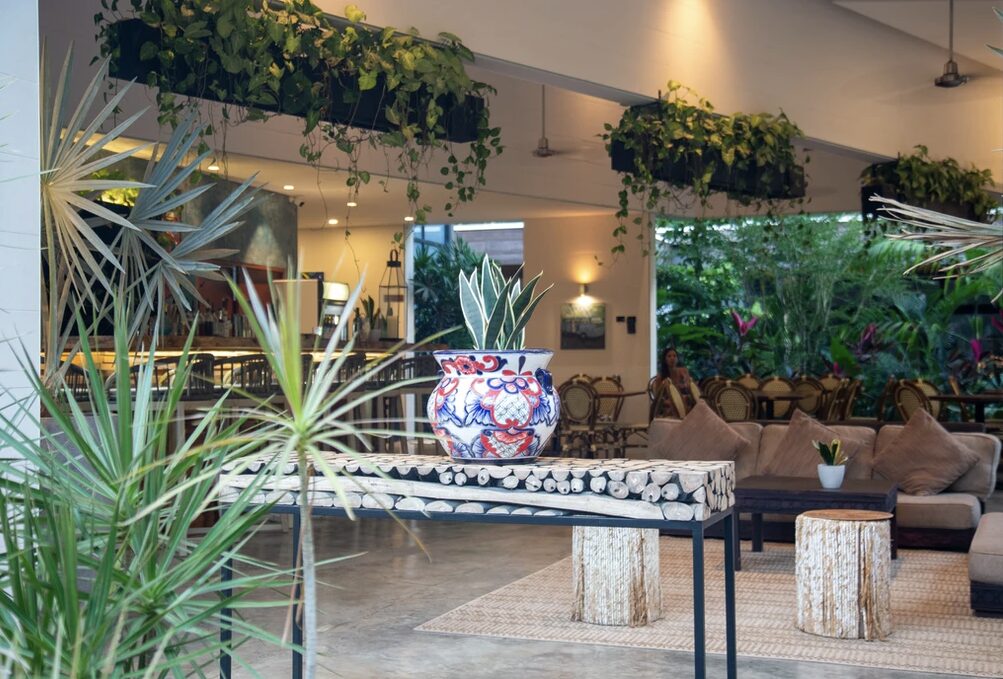 The White Palm Yoga Surf Hotel - Nosara - Image 8
