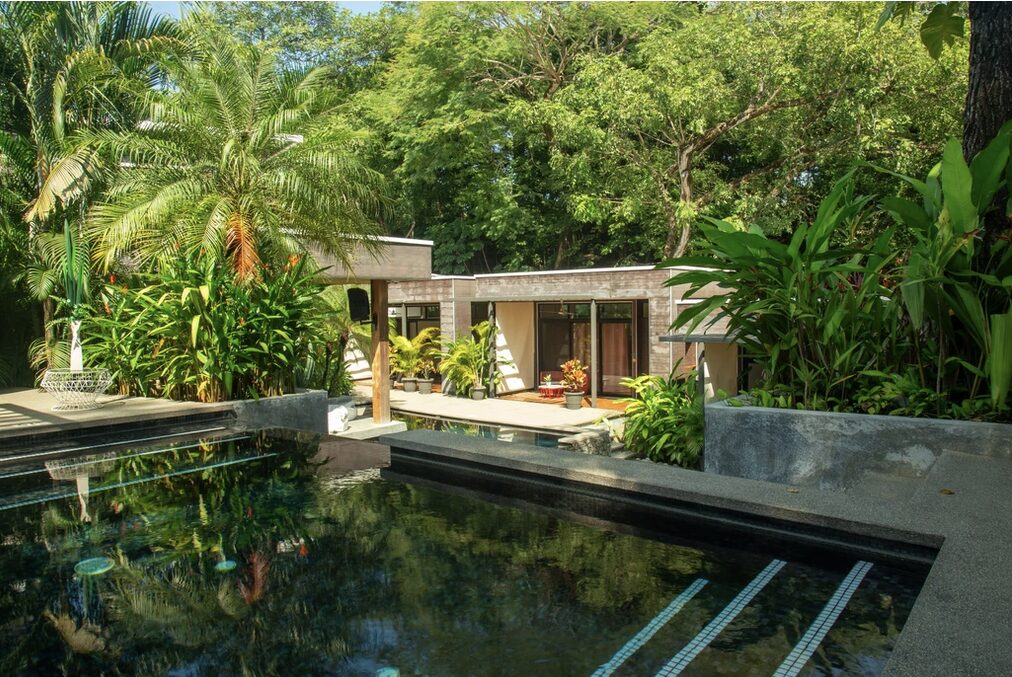 The White Palm Yoga Surf Hotel - Nosara - Image 15