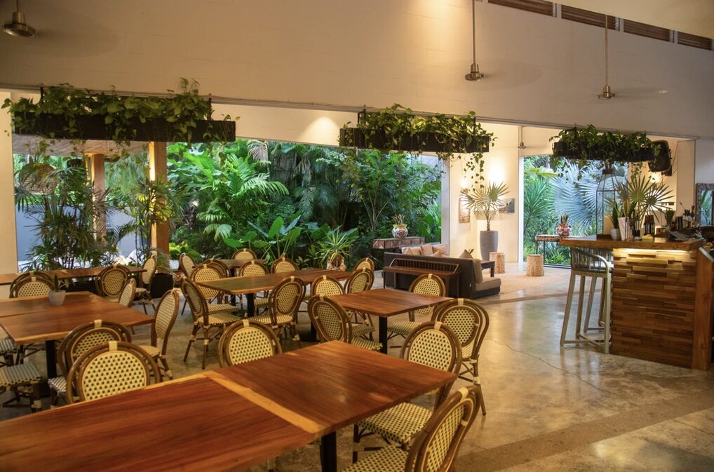 The White Palm Yoga Surf Hotel - Nosara - Image 19