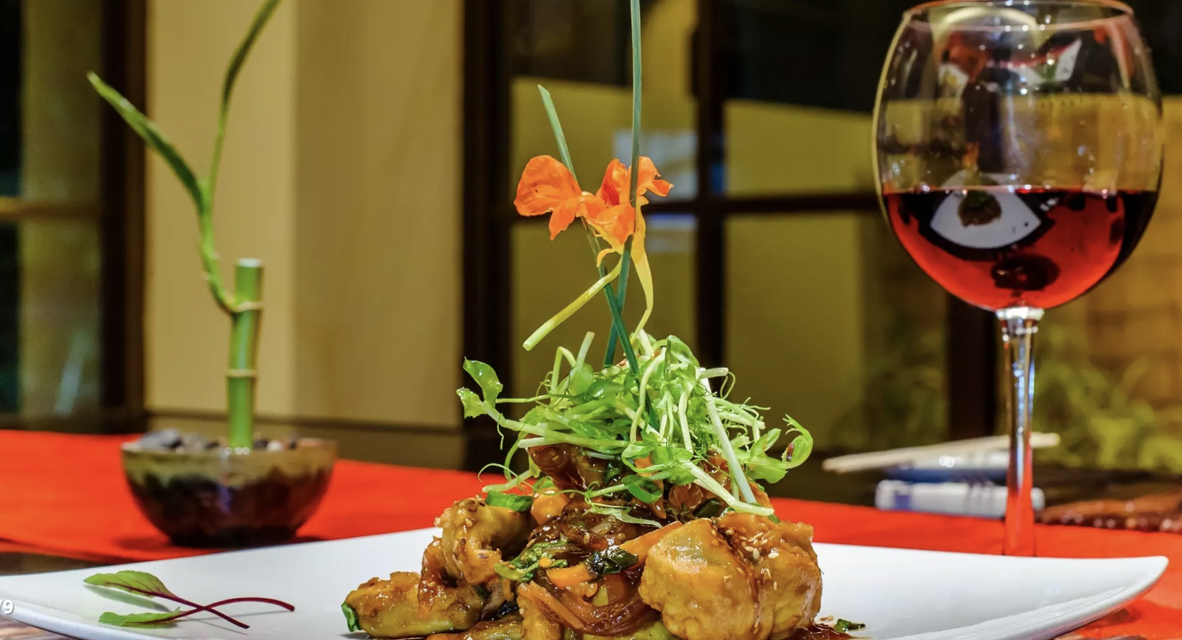 Occidental Papagayo - Adult Only - Image 19