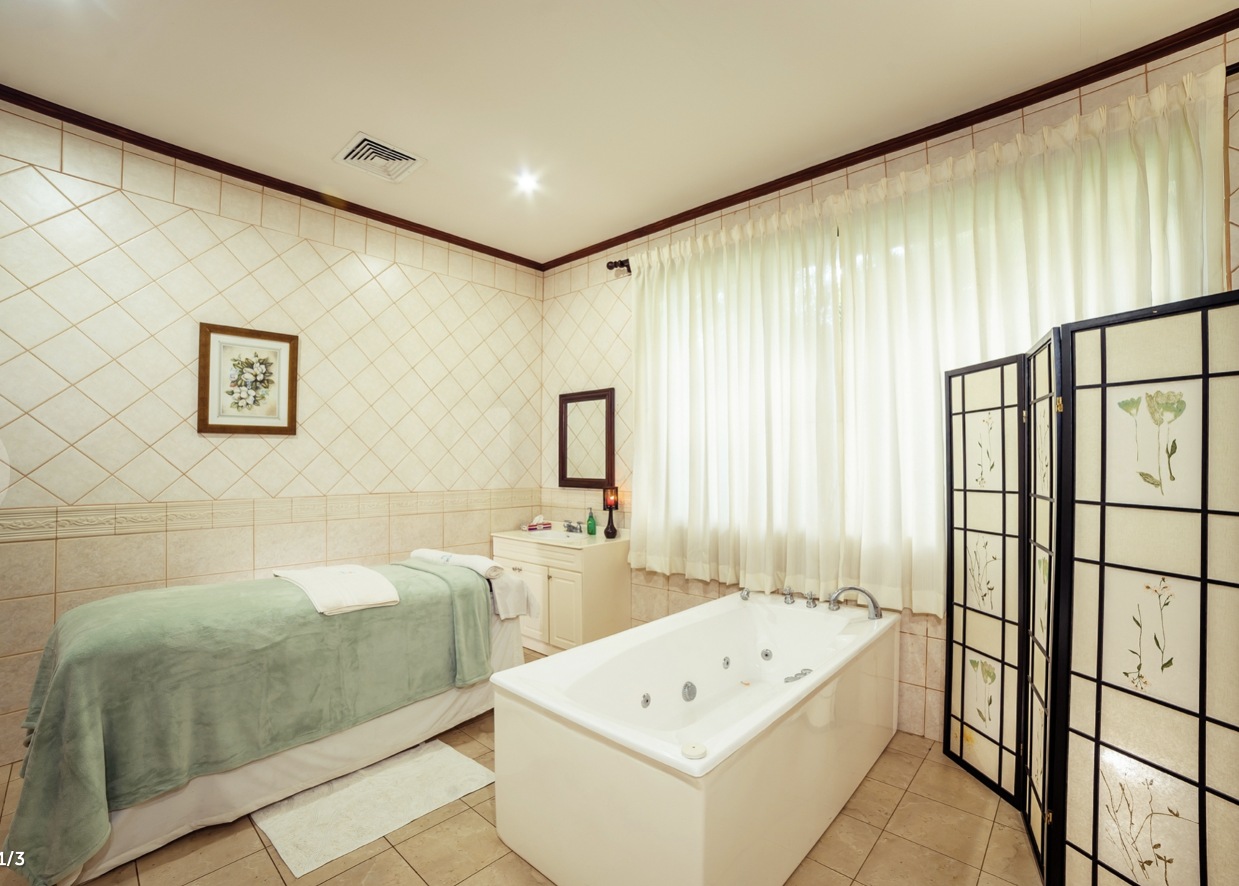 Occidental Papagayo - Adult Only - Image 5