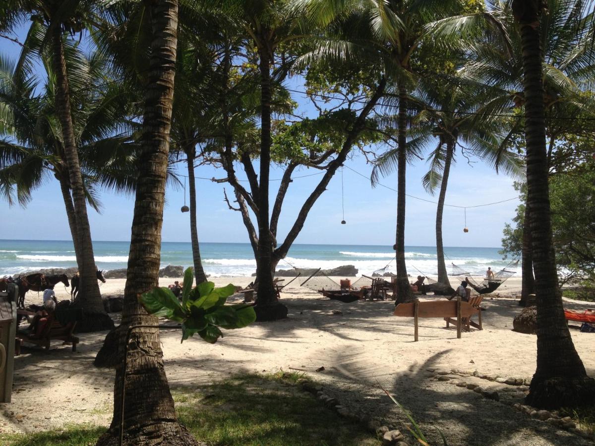 Hotel Tropico Latino - Santa Teresa - Image 13