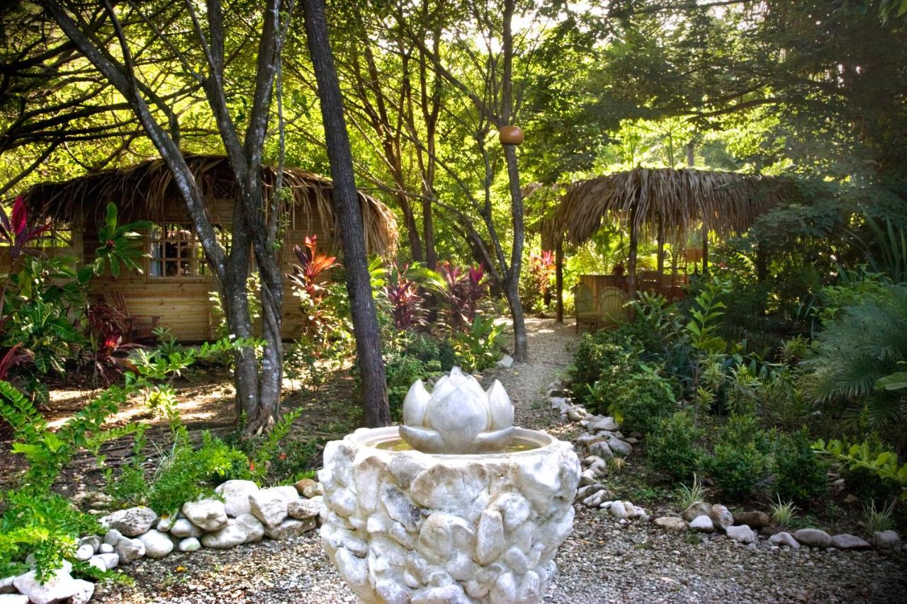 Hotel Tropico Latino - Santa Teresa - Image 12