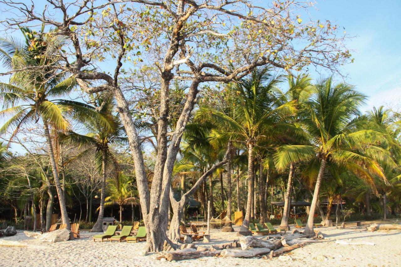Hotel Tropico Latino - Santa Teresa - Image 3