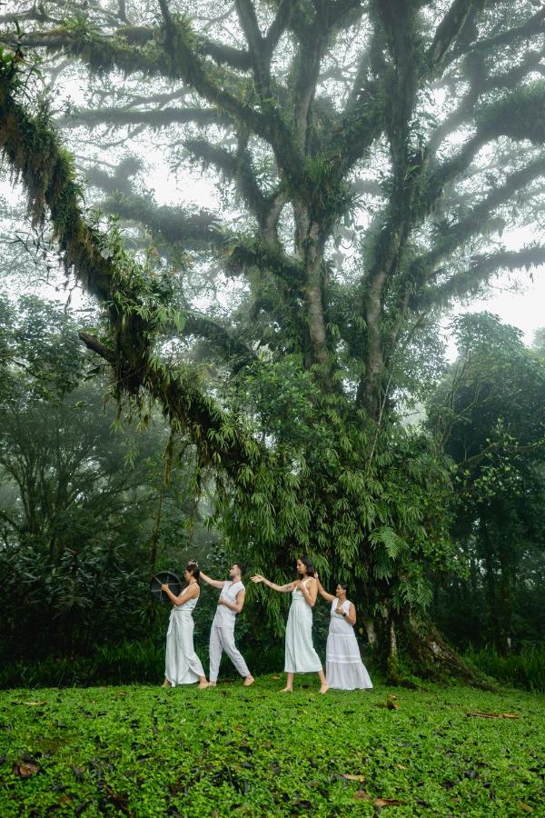 Villa Blanca Clound Forest and Retreat - Image 6