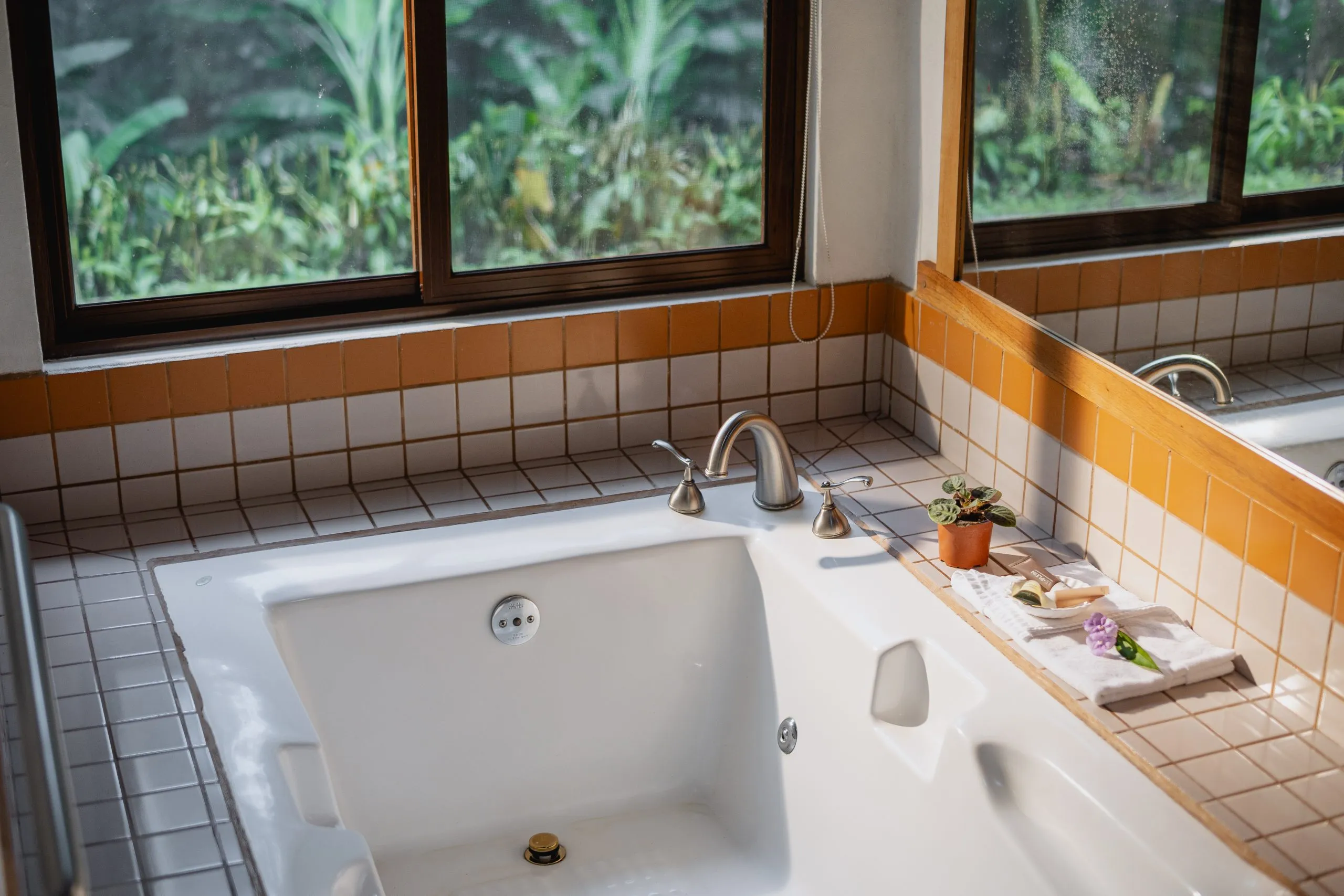 Villa Blanca Clound Forest and Retreat - Image 31