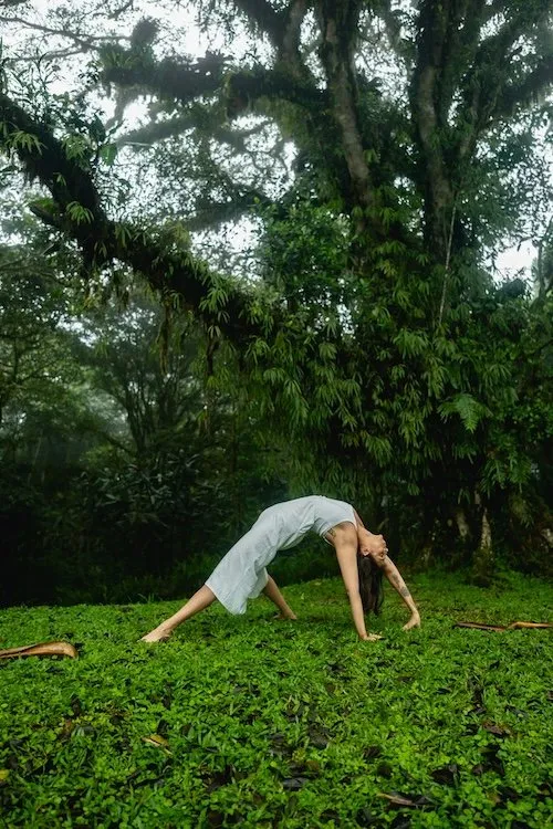 Villa Blanca Clound Forest and Retreat - Image 3