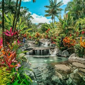 Arenal Kioro Green Luxury - Image 22