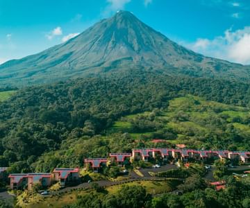 Arenal Kioro Green Luxury - Image 17