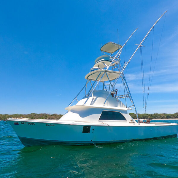 Bachata - Fishing Charter - Playa Tamarindo