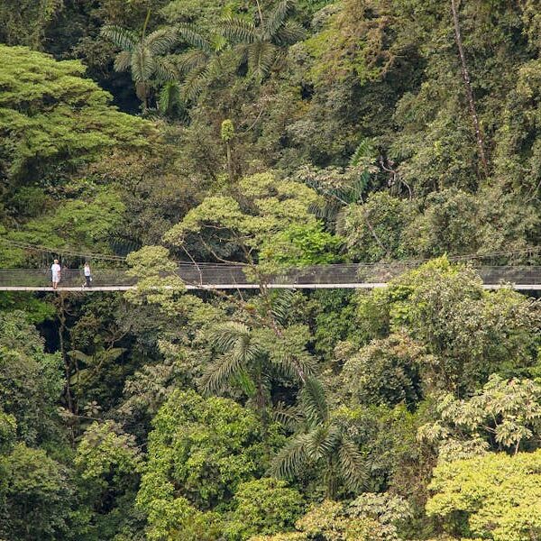 Hanging Bridge - La Fortuna