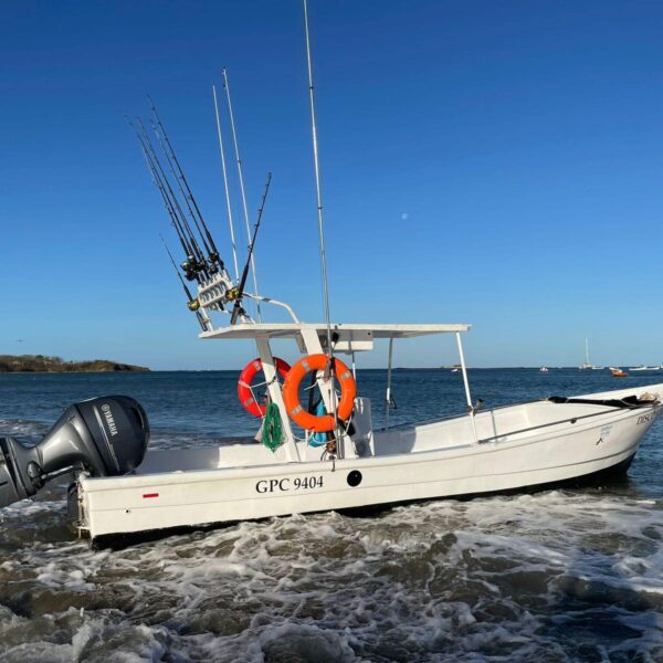 Fishing boats