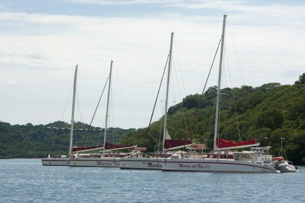 Catamaran tour - Playa Tamarindo - Image 6