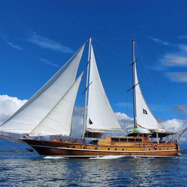 Brisa Elegante - Manuel Antonio