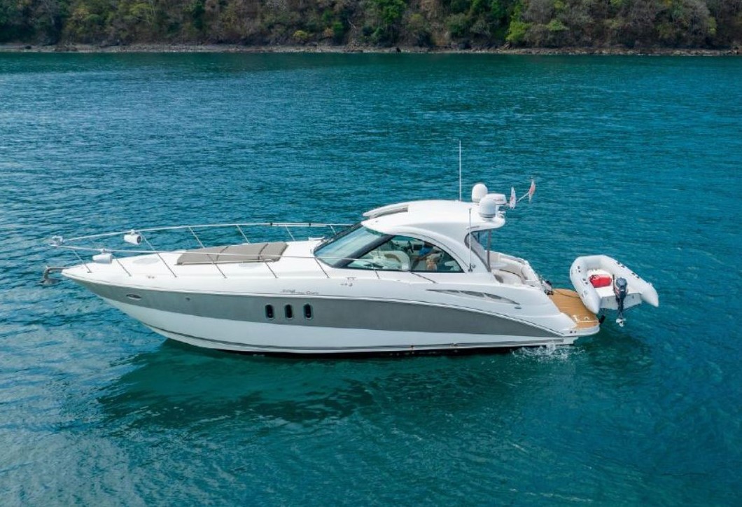 Martini - Papagayo - Image 3