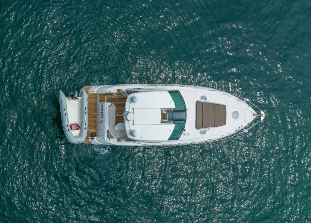 Martini - Papagayo - Image 4