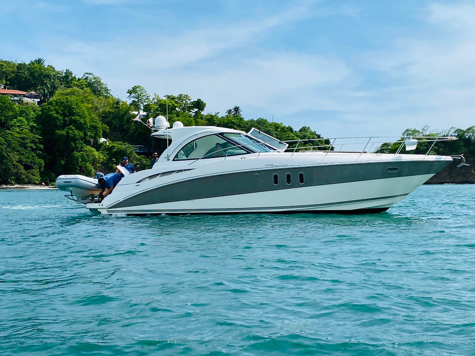 Martini - Papagayo - Image 2