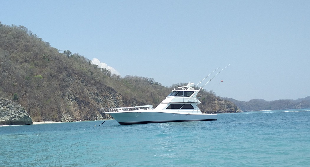 Viking - Quepos - Image 2