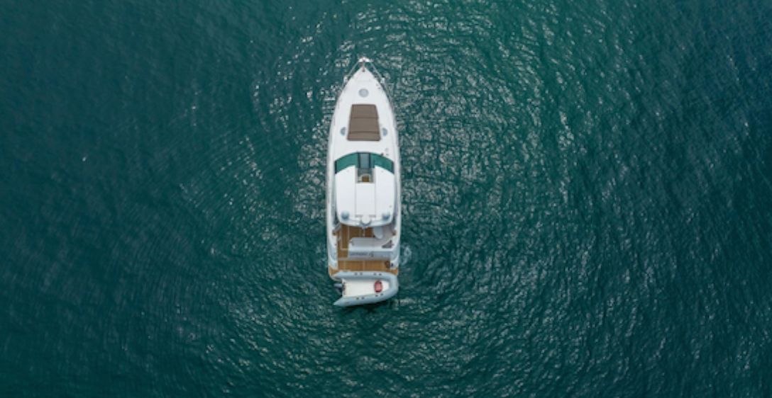 Martini - Papagayo - Image 5