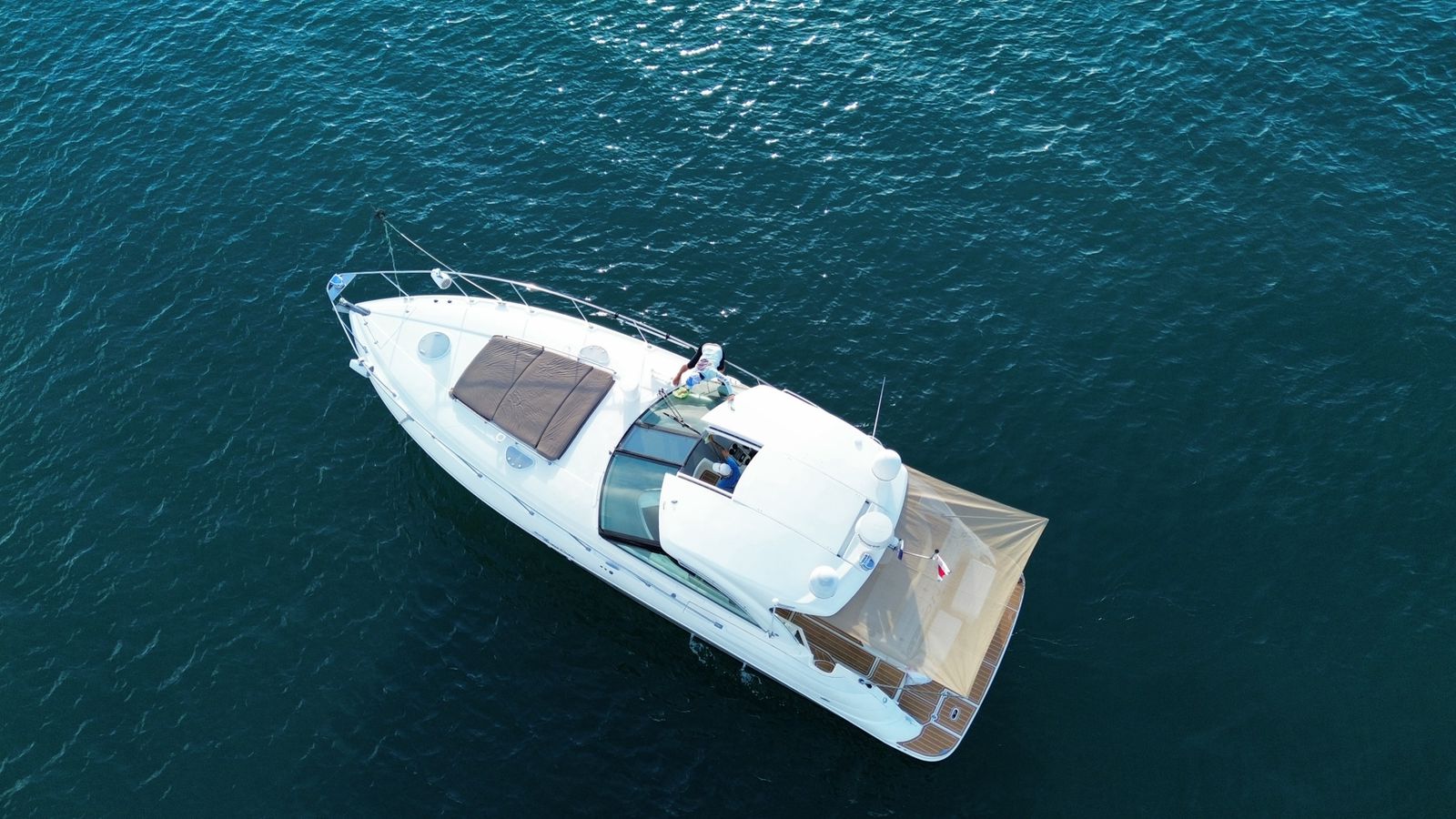 Martini - Papagayo - Image 6