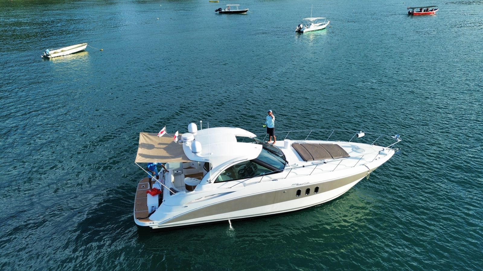 Martini - Papagayo - Image 9