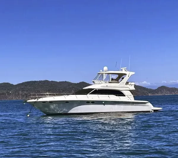 SeaRay 50ft - Playa Herradura