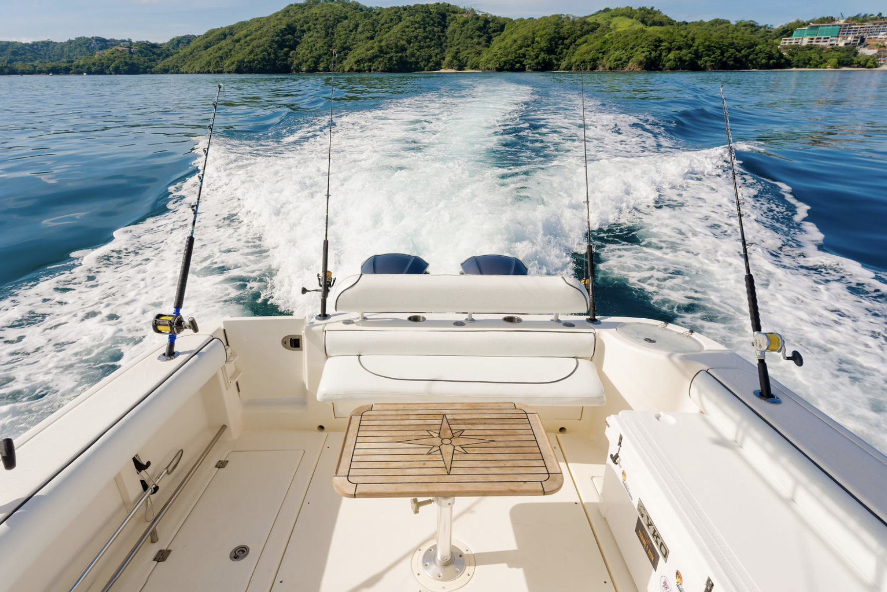 Disparate - Papagayo - Image 5
