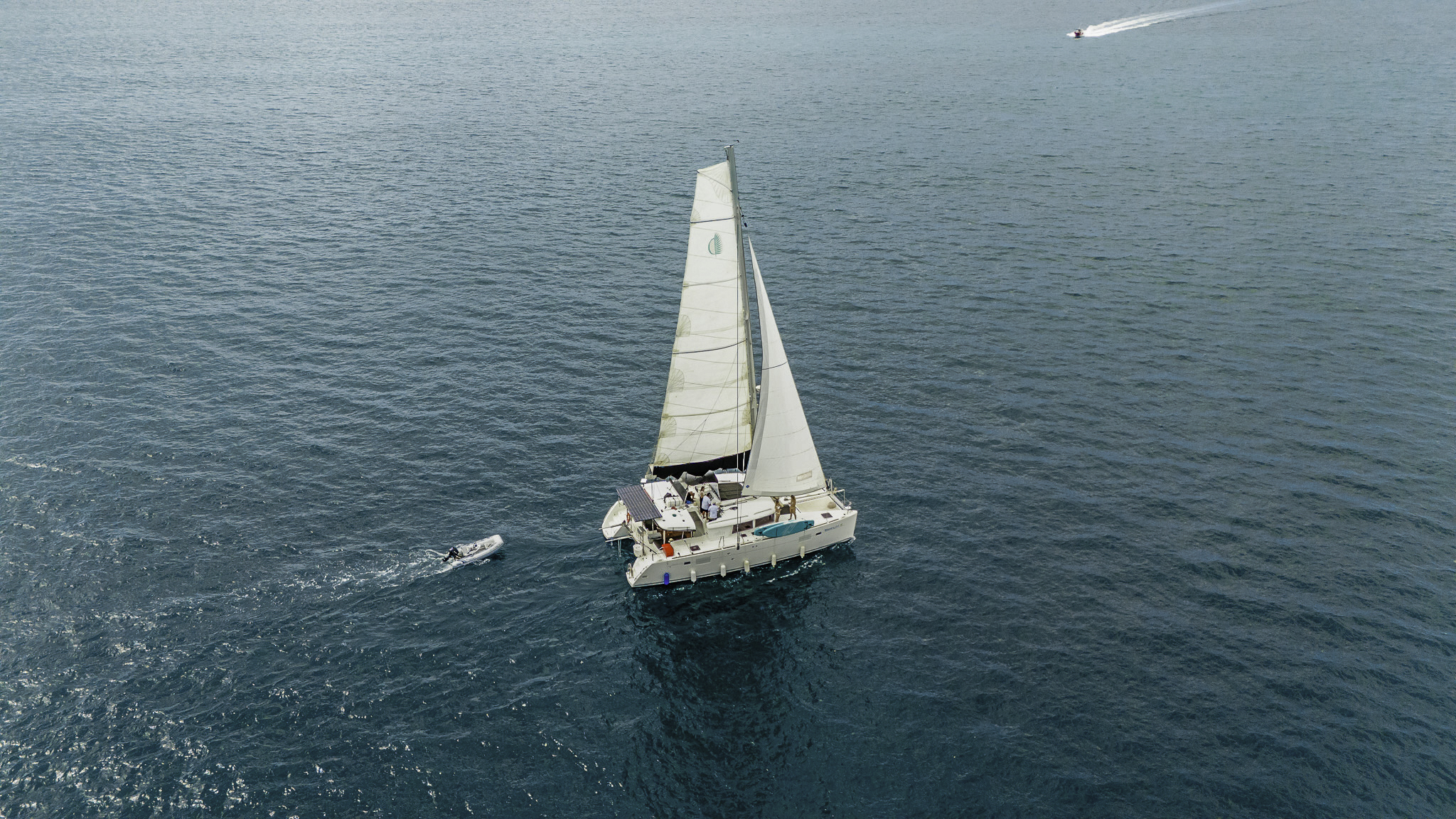 Vela Tropical - Papagayo - Image 3